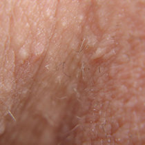 CfOC: DukeLee.com cover art