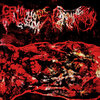 SPLIT WITH GENOPHOBIC PERVERSION