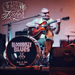 Stay Free cover