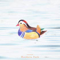 Mandarin Duck cover art