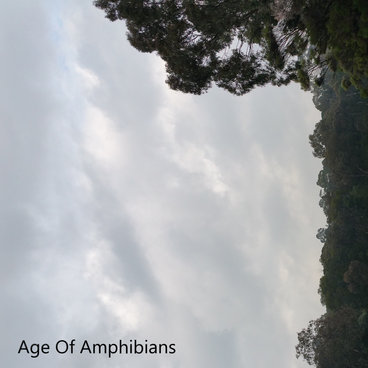 Age Of Amphibians main photo