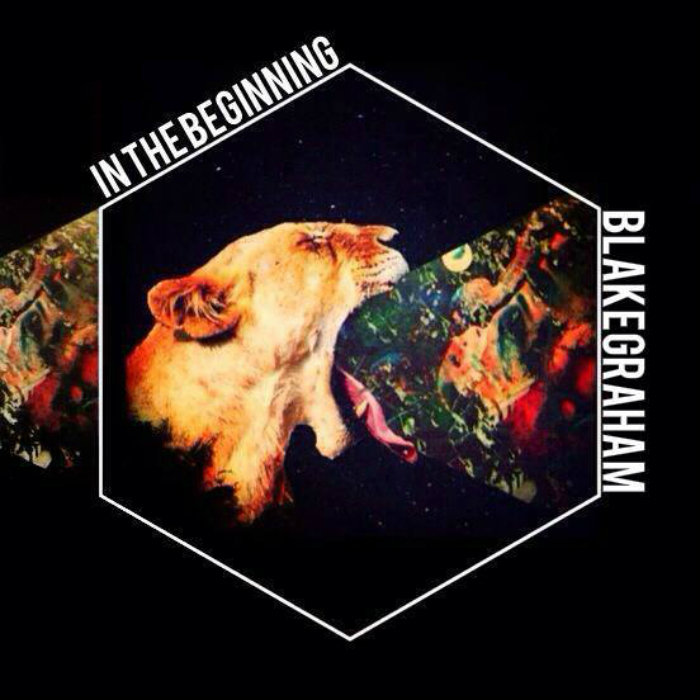 Blakeigham In The Beginning | Blake Graham