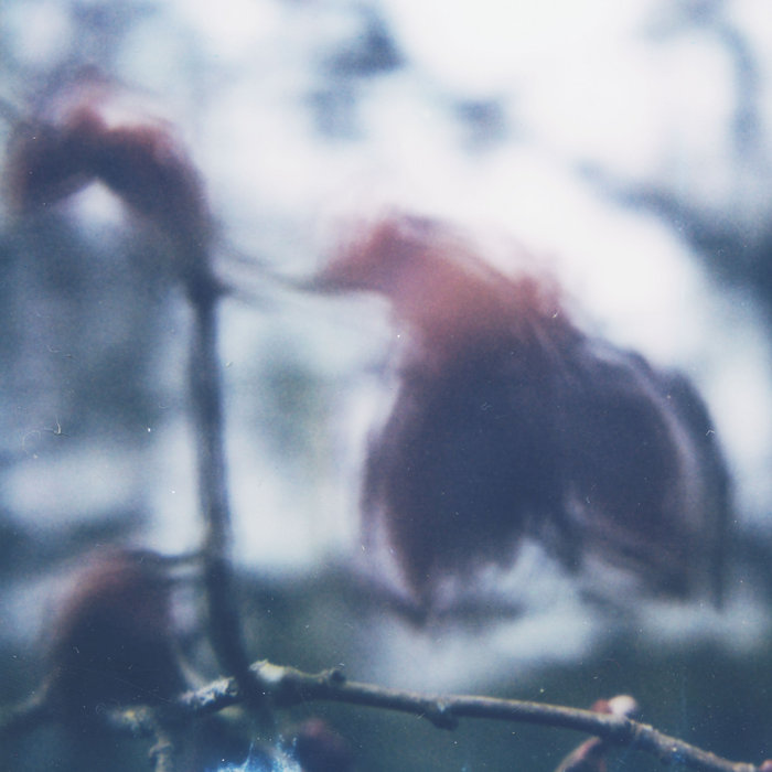 landscape 07