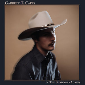 In the Shadows (Again) cover