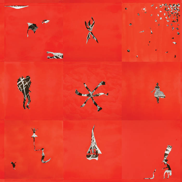 米LP Animal Collective Hollinndagain LPACEE300 Domino /00260 41GaBqW+XPL._UF1000,1000_QL80_.jpg