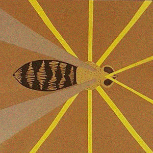 Beekeeper cover