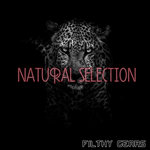 Natural Selection