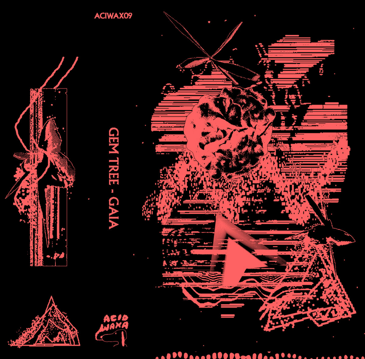 Drak Web | Gem Tree | Acid Waxa