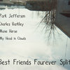 Best Friends Fourever Split Cover Art