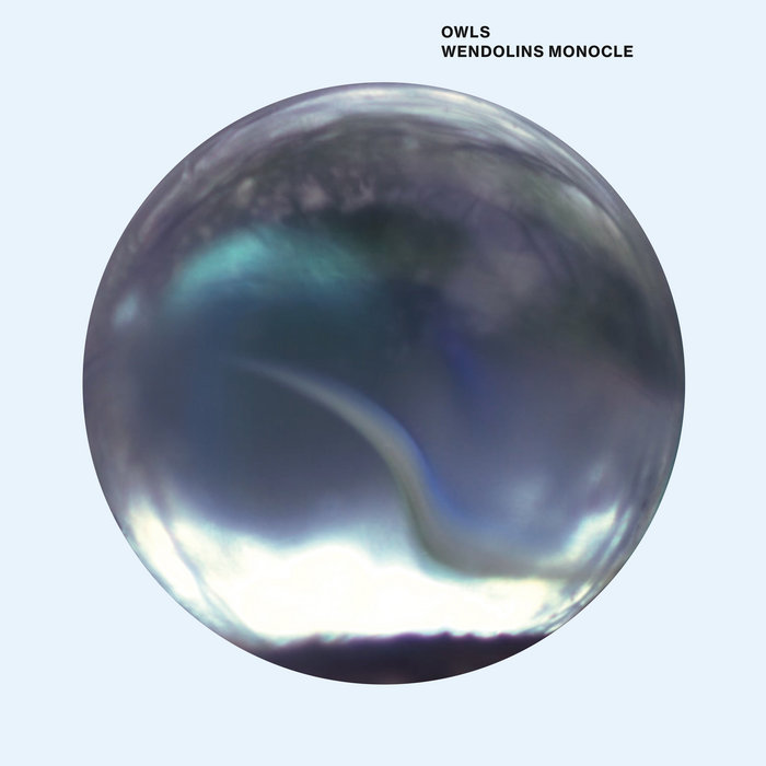 Owls Wendolins Monocle