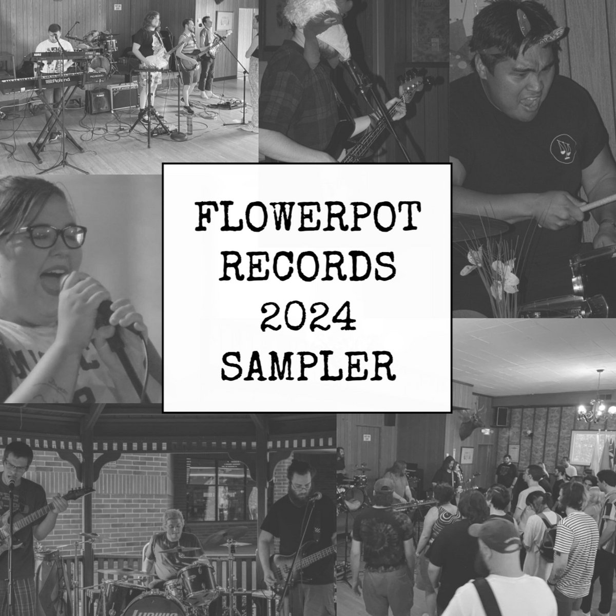 Flowerpot Records – Flowerpot Records 2024 Sampler