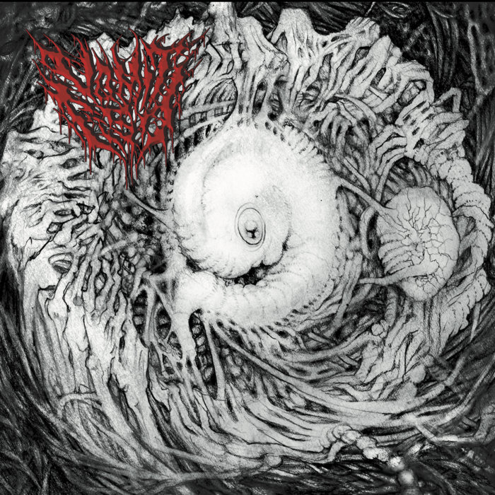 Pochette de Deep Spawn par Vomit Fist