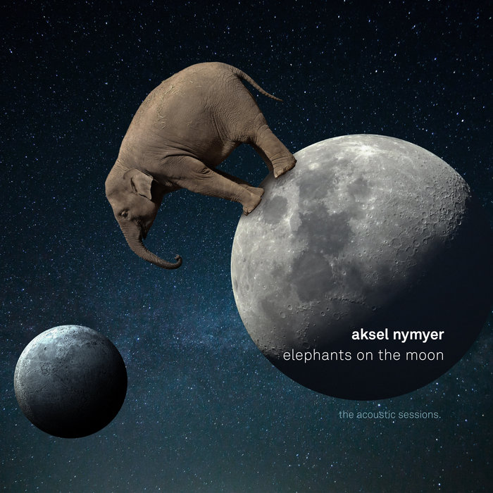 elephants on the moon aksel nymyer