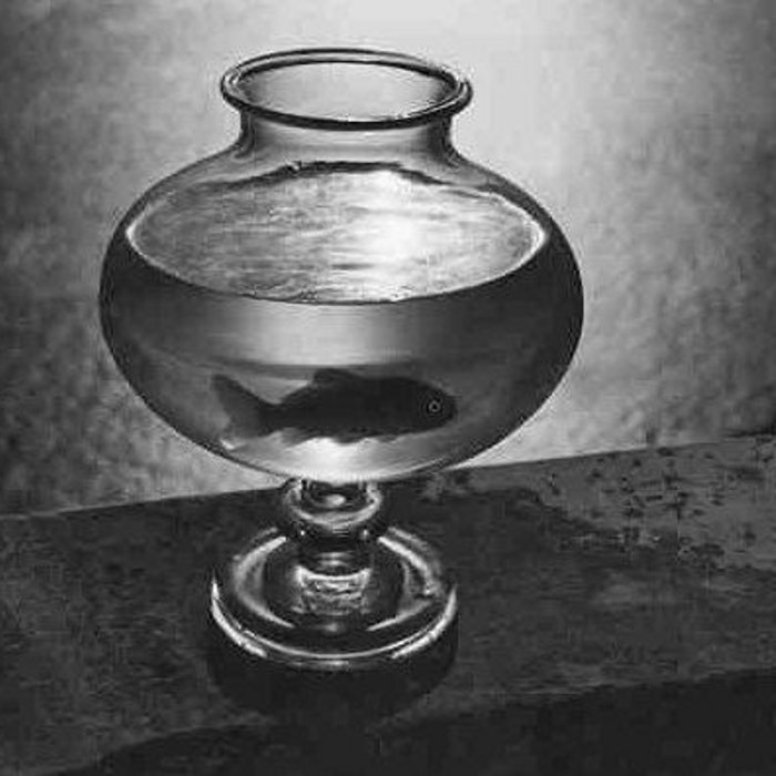 This Is Water Lunar Caustic