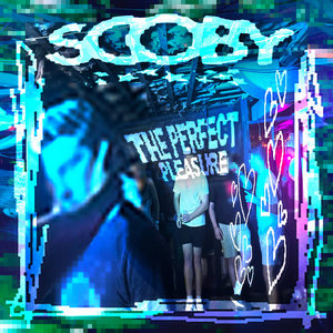 The Perfect Pleasure cover