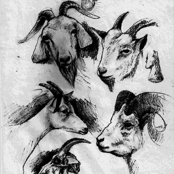 Obscurum per Obscurium Ens Imperfectissimum