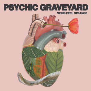 Psychic Graveyard — Veins Feel Strange
