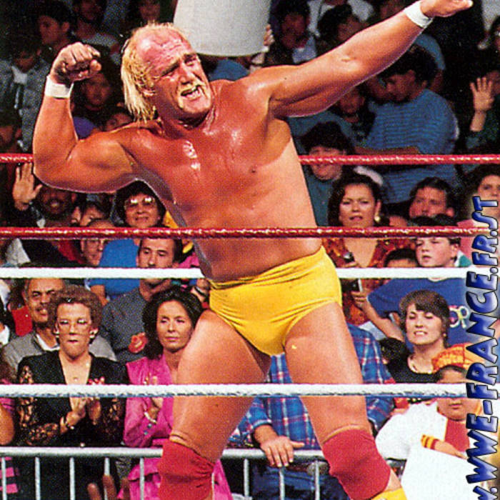 hogan alternative 2hogan alternative