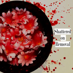 Shattered on Removal cover