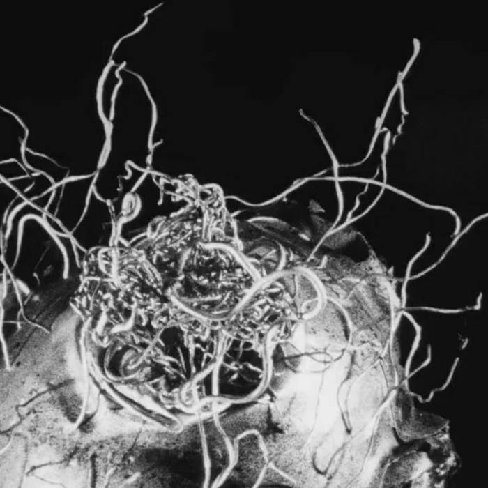the album cover of micmix by glial cells