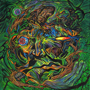 The Maze Of Now cover