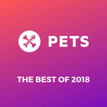 Music Pets Recordings