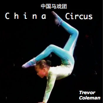 (未使用･未開封品)China Circus Elites [DVD] LaserDisc Database • View topic - Magnificent Bodyguards (3D