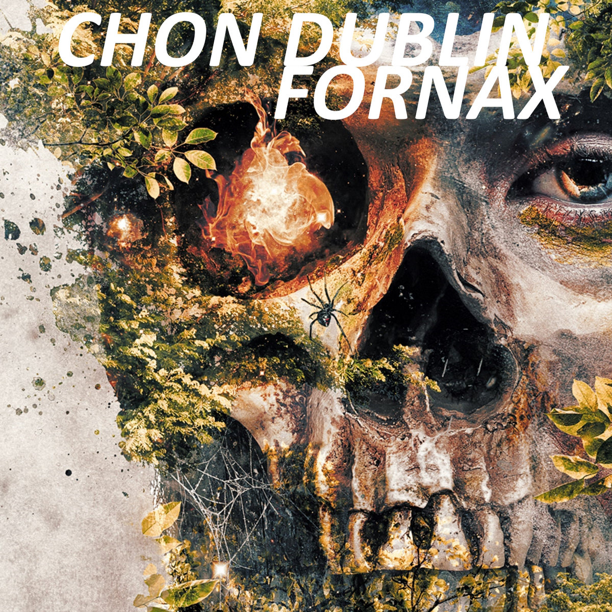 Fornax cover