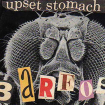 THE BARFOS - DEMO- 1990 cover art