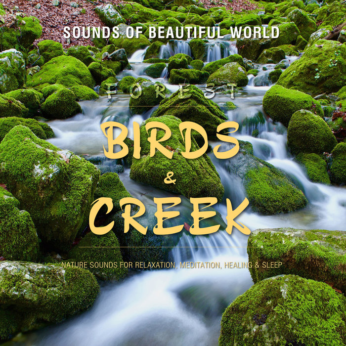Forest: Birds & Creek (Nature Sounds for Relaxation, Meditation ...