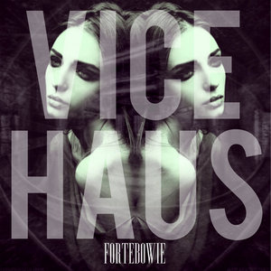 Vice Haus cover