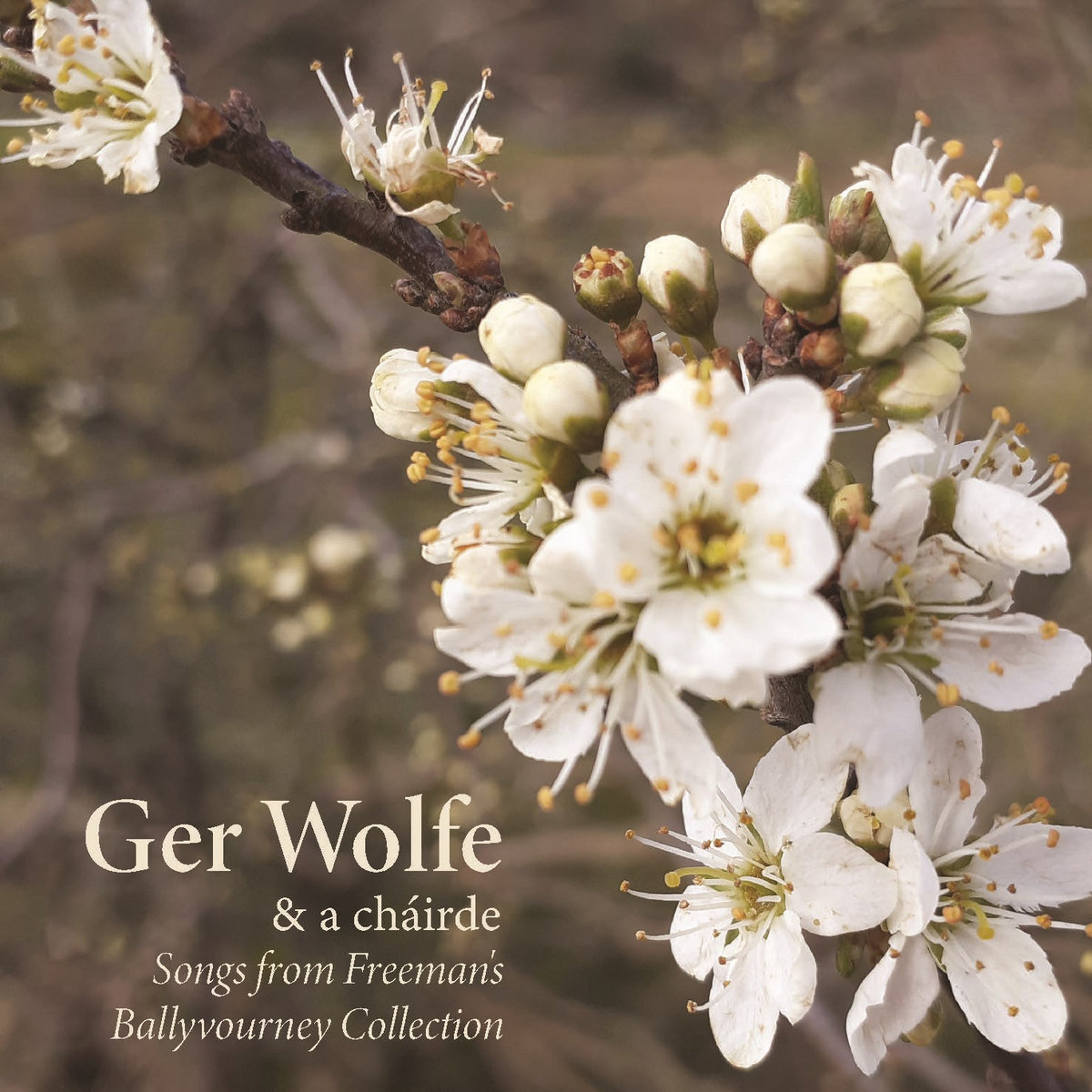 Songs From Freeman's Bailebhúirne Collection' | Ger Wolfe, image size:1200x1200