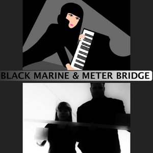 Elegant CultureMeter Bridge & Black Marine cover