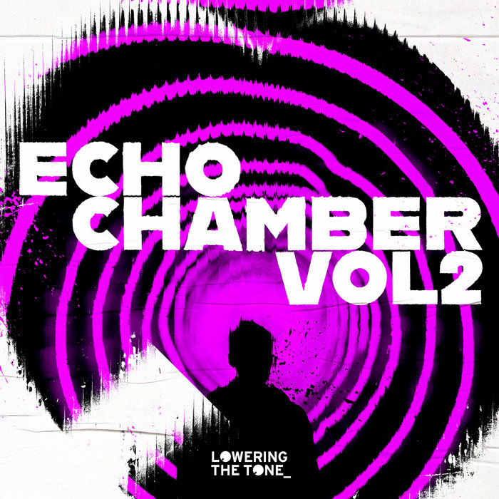 Echo Chamber Vol2 Re Mastered Compilation Lowering The Tone