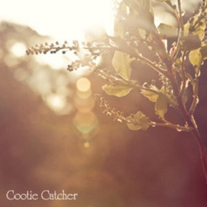 cootie catcher — EP