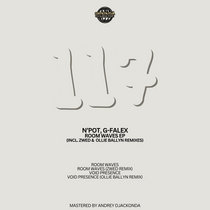 N'Pot, G-Falex, Zwed, Ollie Ballyn — [ROMEP117] N'Pot, G-Falex, Room Waves EP (incl. Zwed & Ollie Ballyn remixes)