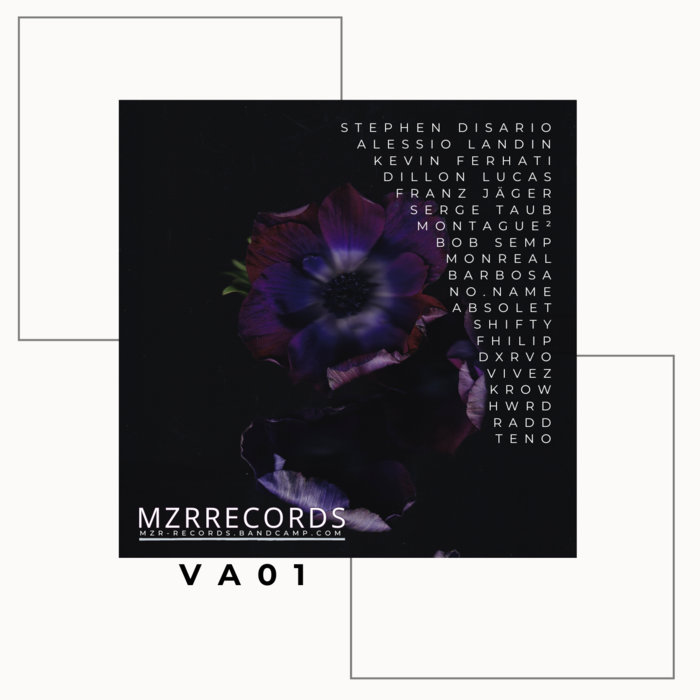 MZRRECVA01 | MZRRECORDS