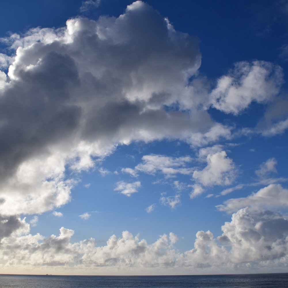 Flying High Flying Free Chris Foster