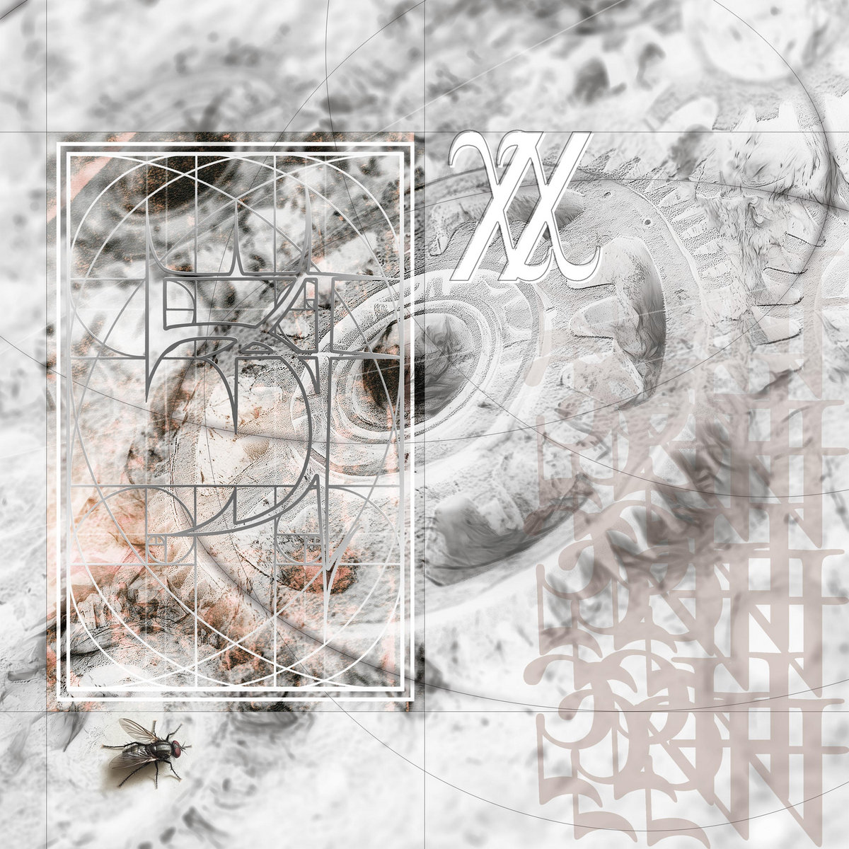 XX | 54