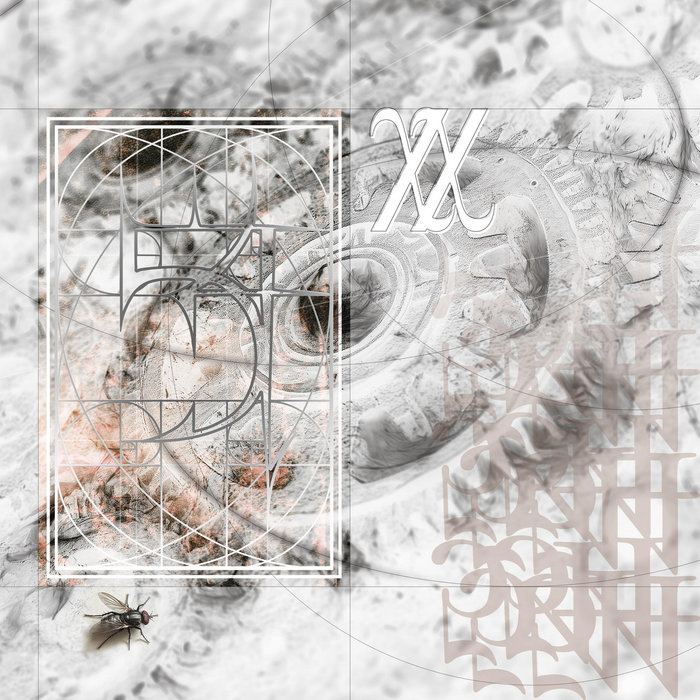 XX | 54
