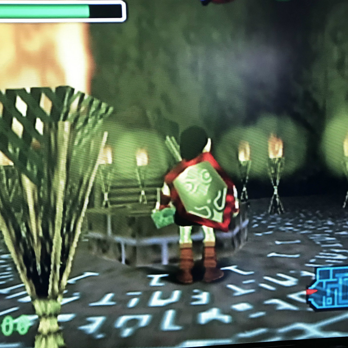 Grow Up Dmt 7 Kiwii Dmt Tapes Fl