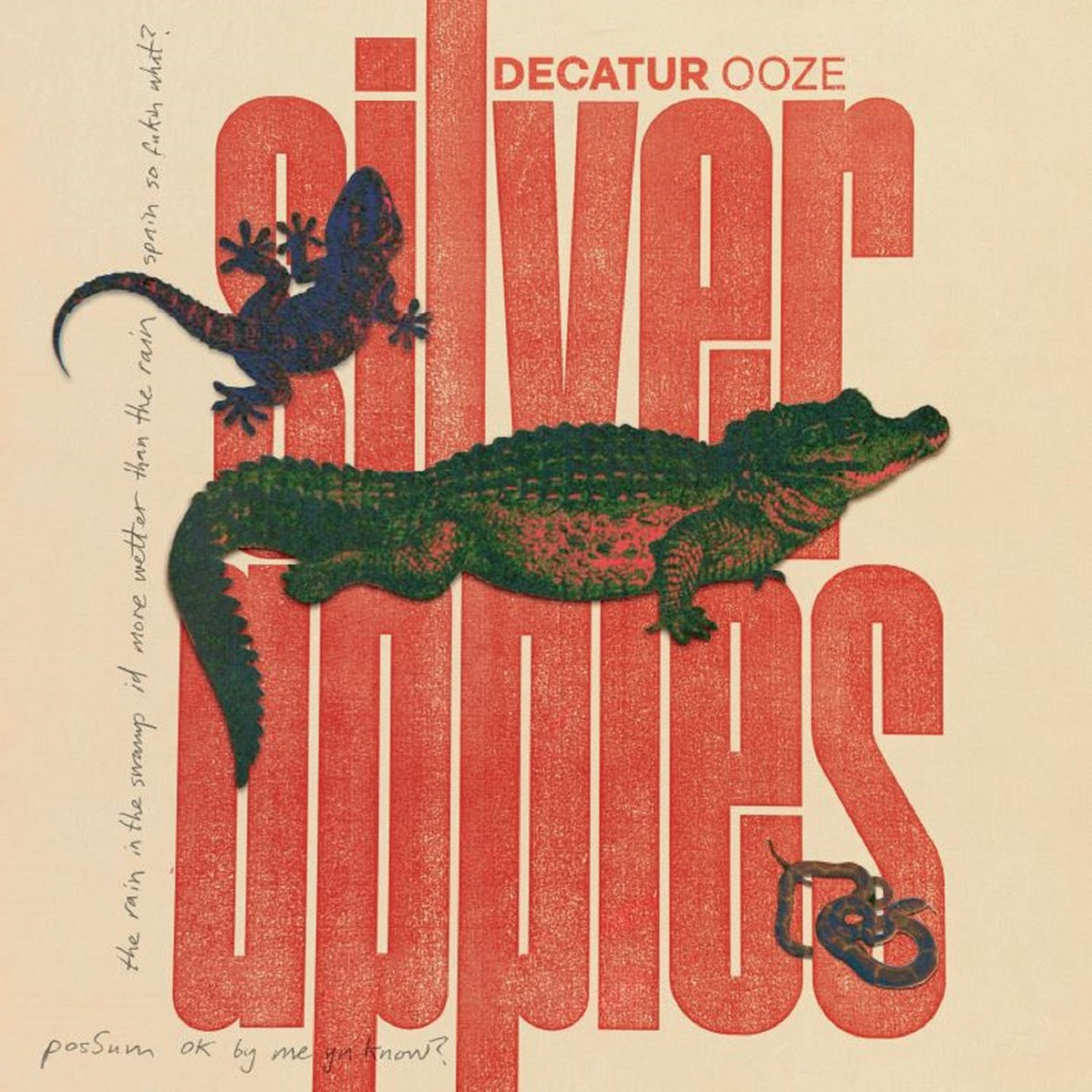 DecaturOoze | Silver Apples | Space Age Recordings