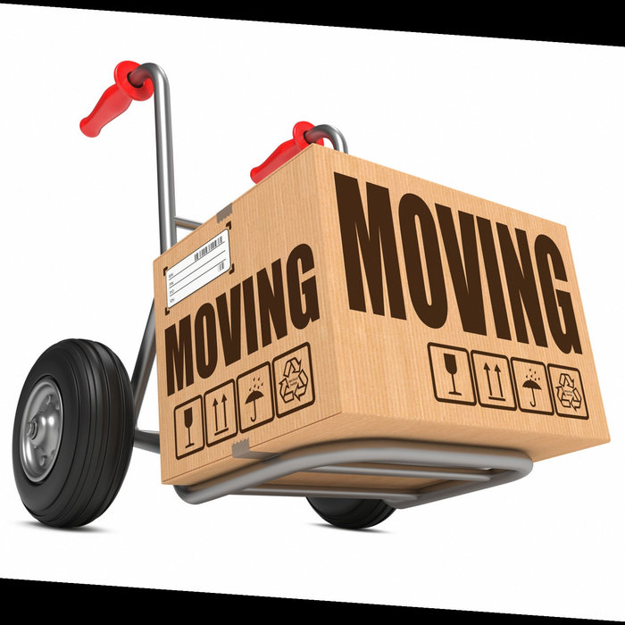 Busy Bee Movers Indianapolis busy bee movers indianapolis Traci Archer