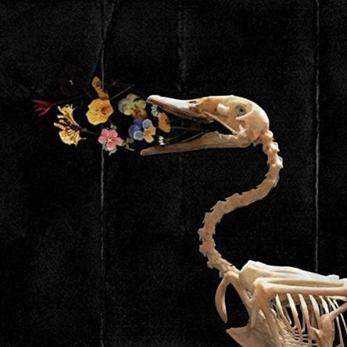 邦楽 578 HALFBY / UGLY DUCKLING - AUDACITY Audacity | Ugly Duckling