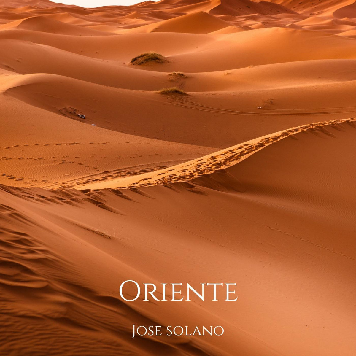 Desert | Jose Solano