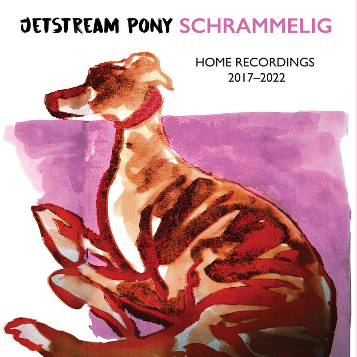 Pochette de Schrammelig par Jetstream Pony