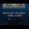 Billie Eilish - BIRDS OF A FEATHER (Dario Xavier Remix)