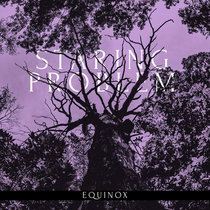 Staring Problem - Equinox