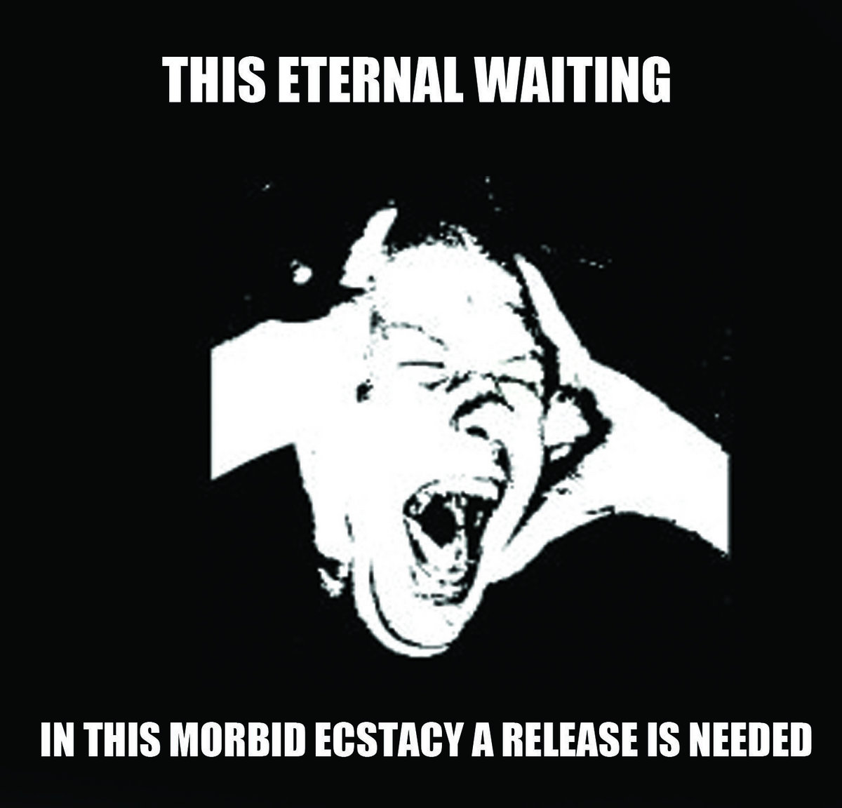 IN THIS MORBID ECSTACY A RELEASE IS NEEDED cover