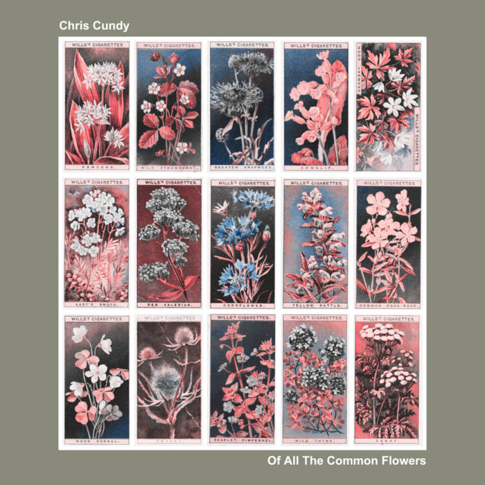 w.o.d. 廃盤 F.L.O.W.E.R.S. CD 美品 Of All The Common Flowers | CHRIS CUNDY | Chris Cundy